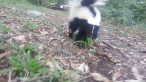 Baby GIF. Vallen Schattig Baby Gifs Hadouken 