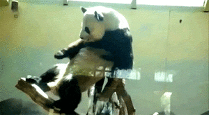 Baby GIF. Bang Baby Gifs Speelbal Kind 