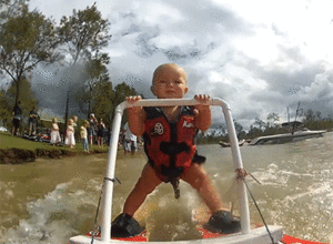 Baby GIF. Dieren Puppy Baby Gifs 