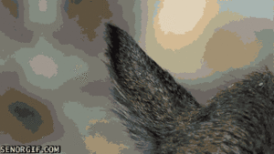 Baby GIF. Baby Star trek Gifs  Zoet Star trek into darkness Jim kirk Captain kirk James kirk Idst 