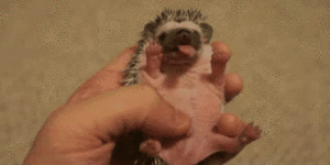 Baby GIF. Merlin Baby Gifs Morgana pendragon Forever snikt hoe vreselijk deze show u behandeld 