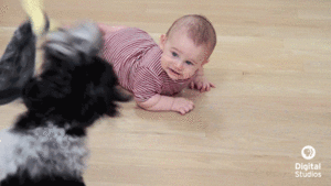Baby GIF. Baby Engel Prinses Gifs Miss een Jia Gif: missen Ik bracht 80 jaar het verplaatsen 