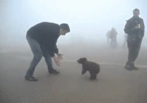 Baby GIF. Disney Tarzan Baby Gifs Huggies 