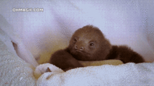 Baby GIF. Baby Gifs Mislukken 