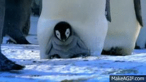 Baby GIF. Vallen Schattig Baby Gifs Hadouken 