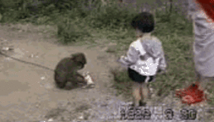 Baby GIF. Dieren Kunst Leeuwen Disney Schattig Baby Gifs Vrij Mooi Aanbiddelijk Hypnotisch Lion 