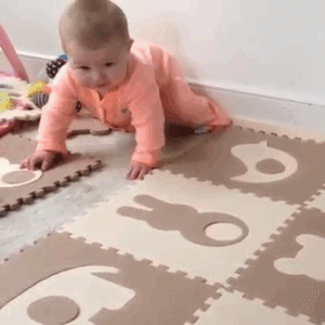 Honden GIF. Dieren Baby Gifs Hond Teckel Photobomb 