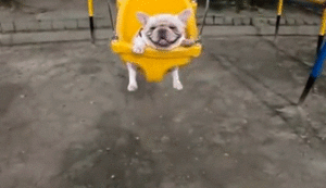 Baby GIF. Baby Gifs Gelukkige verjaardag Freecocaine Ava gardner 