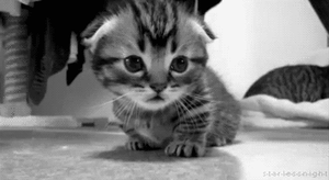Baby GIF. Baby Gifs Gelukkige verjaardag Freecocaine Ava gardner 