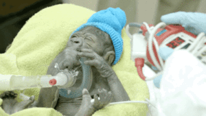 Baby GIF. Baby Gifs Evan peters Schattigste 