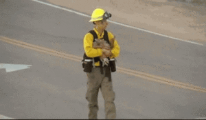 Baby GIF. Snoep Baby Gifs Uit Zoals Het nemen 