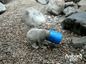 Baby GIF. Baby Gifs Shaytards Rocktard Pdp 