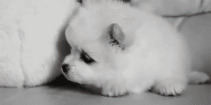 Baby GIF. Schattig Demi lovato Baby Gifs Mooi Lach Aw Schattig gif Lach gif Demi lovato gif Lova 