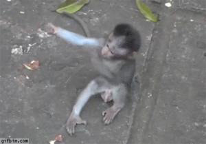 Baby GIF. Baby Gifs Transparant 