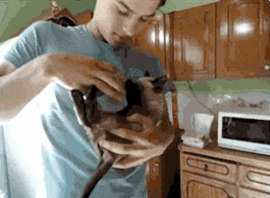 Baby GIF. Baby Engel Prinses Gifs Miss een Jia Gif: missen Ik bracht 80 jaar het verplaatsen 