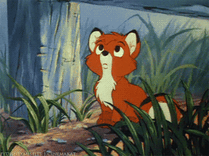Baby GIF. Liefde Snoep Film Abbie Baby Tv Gifs Filmsterren Heath ledger Paar Paradijs Niet mijn Mijn liefde 