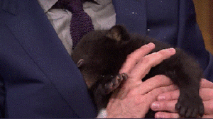 Baby GIF. Tien Baby Tv Gifs Heet Arts die David tennant Tiende arts Dw Tennant Hij is zo schatti 