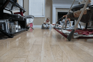 Olifant GIF. Dieren Olifant Baby Gifs Vaatje 