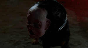 Tijger GIF. Dieren Eekhoorns Baby Tijger Gifs Ventilator Bos 