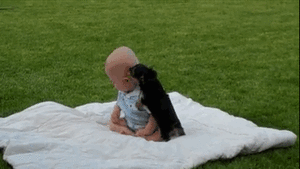 Baby GIF. Dieren Baby Gifs Slaperig Cheetah Knipperen 