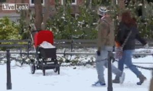 Baby GIF. Dieren Baby Gifs Slaperig Cheetah Knipperen 