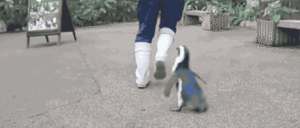 Baby GIF. Baby Gifs Haten Haters Kruipen Haters gaan haten 