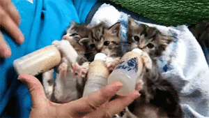 Baby GIF. Vallen Baby Rick Gifs Cartoons en comics Avontuur tijd Cartoon network Bmo Zeepbel Moed 