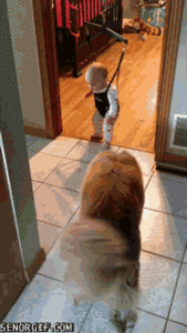 Baby GIF. Full house Baby Kus Gifs Michelle tanner Oom jesse 