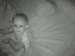 Olifant GIF. Dieren Fles Melk Olifant Baby Gifs 