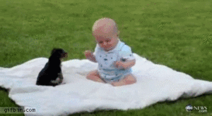 Baby GIF. Dieren Olifant Baby Gifs 