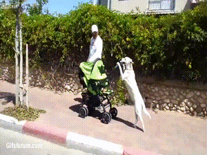 Baby GIF. Dragon ball z Grappig Baby Gifs Grappige baby Kamekameha 