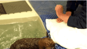 Baby GIF. Baby Gifs Gelukkige verjaardag Freecocaine Ava gardner 