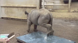Baby GIF. Muziek Baby Gifs Muziekvideo Mgmt 
