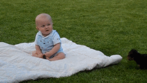 Baby GIF. Baby Kinderen Ogen Gifs Art &amp;amp; design Schok Afschuwelijke waarheid 