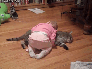 Baby GIF. Liefde Schattig Baby Wit Zwart Kus Gifs Filmsterren Ryan gosling  U Mij Zwart en wit Koppels Bby 