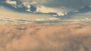 Honden GIF. Dieren Bulldog Puppy Baby Geloof Frans Gifs Hond  Jumping Gemengd Sprong Groeien Vertrouwen 