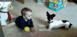 Baby GIF. Dieren Olifant Baby Gifs 