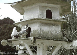 Baby GIF. Baby Gifs Kardashian Kendall jenner Kuwtk 