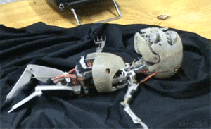 Baby GIF. Baby Ninja Gifs Tik Enter the dragon 