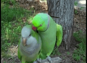Baby GIF. Baby Gifs Haten Haters Kruipen Haters gaan haten 