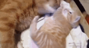 Baby GIF. Baby Graan Gifs Griezelig Psychedelische Digitaal Thecurrentsea Iphoneography 