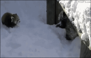 Baby GIF. Baby Ruimte Gifs Dans Gelukkig Aanbiddelijk Rotoscope Schattig 3 jaar oude is erg blij om 