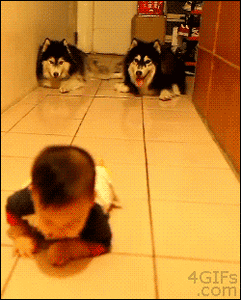 Baby GIF. Baby Tv Kus Gifs Reactie Haat Zuigeling 