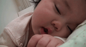 Baby GIF. Dieren Baby Gifs Zegel 