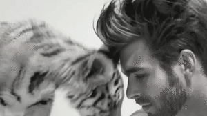 Baby GIF. Dieren Olifant Baby Gifs Net Rechts 