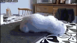 Baby GIF. Baby Star trek Gifs  Zoet Star trek into darkness Jim kirk Captain kirk James kirk Idst 