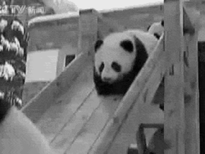 Baby GIF. Baby Gifs Het eten Luiaard Luiaards 