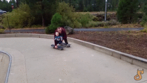 Baby GIF. Olifanten Schattig Baby Wil Gifs Dier Aanbiddelijk Aww Maken Absoluut Woedend Distrac 