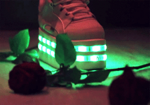 Baby GIF. Olifanten Schattig Baby Wil Gifs Dier Aanbiddelijk Aww Maken Absoluut Woedend Distrac 