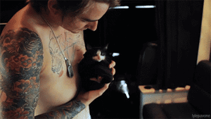 Baby GIF. Dieren Baby Gifs Bal Dieren zijn lullen 